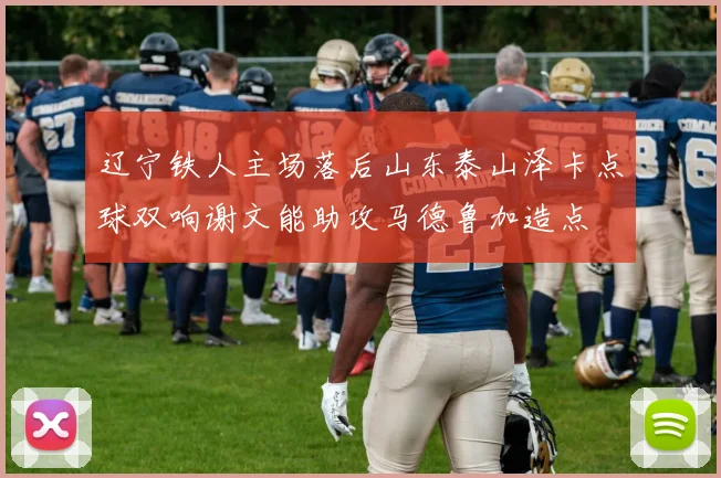辽宁铁人主场落后山东泰山泽卡点球双响谢文能助攻马德鲁加造点
